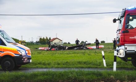 Chocan dos aviones en Alemania; Pilotos mueren instantáneamente