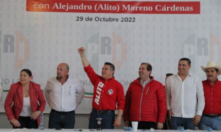 El PRI Votará en Contra de la Reforma Electoral