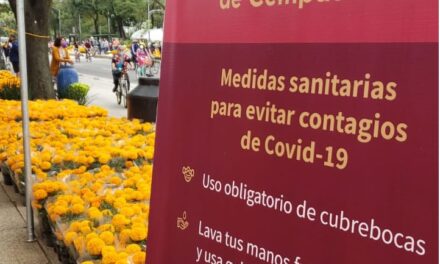 Inicia Festival de Flores de Cempasúchil en Paseo de la Reforma