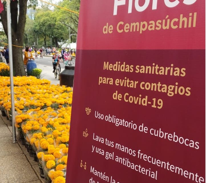 Inicia Festival de Flores de Cempasúchil en Paseo de la Reforma