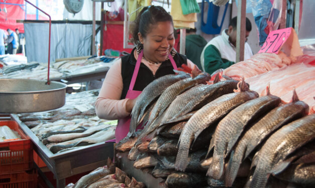 Garantizado el Abasto de Pescados y Mariscos