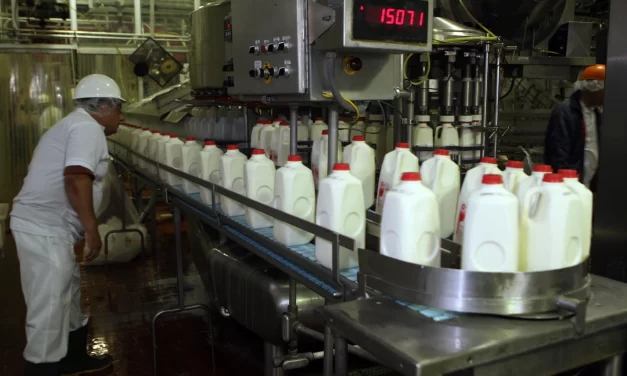 México Octavo Productor Mundial de Leche