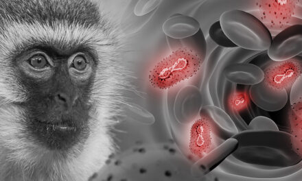 Bajan Contagios de Viruela del Mono