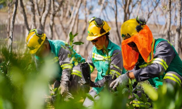 Ecoeficiencia, meta de Compañía Minera Cuzcatlán en México