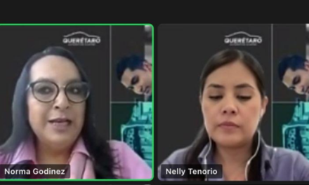 México, séptimo productor mundial de coches: Nelly Tenorio
