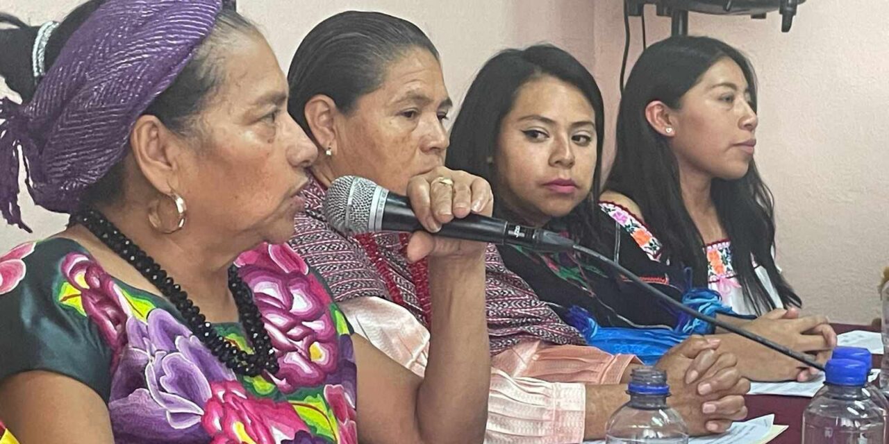 Partidos «no ven a los indígenas con capacidad» para ser candidatos en México: PNI