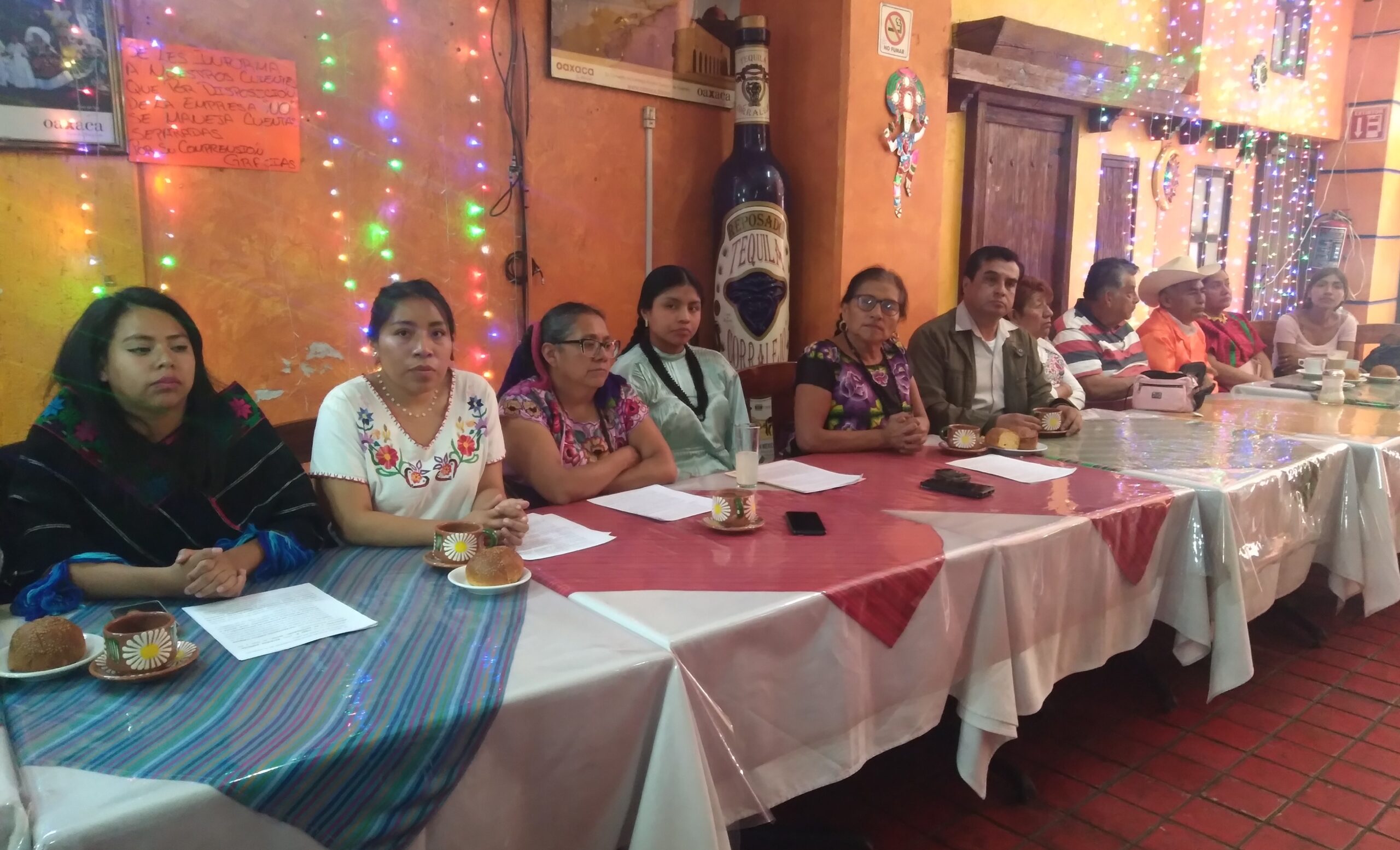 Piden indígenas el 20 % de diputaciones federales en México