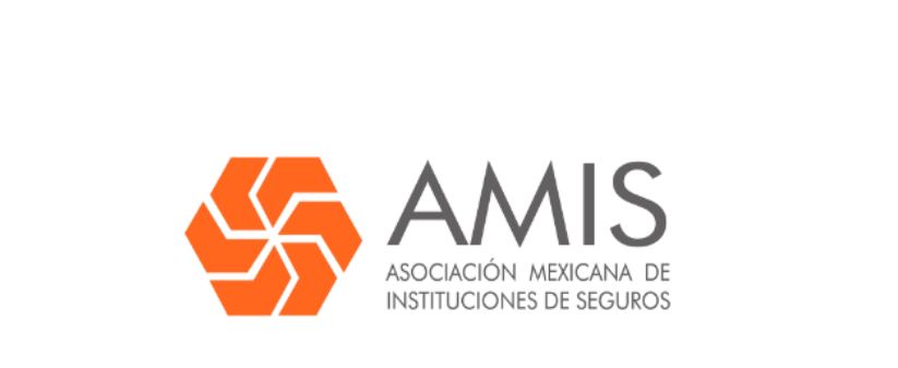 Se robaron en México 17 mil 409 vehículos pesados en los últimos dos años: AMIS