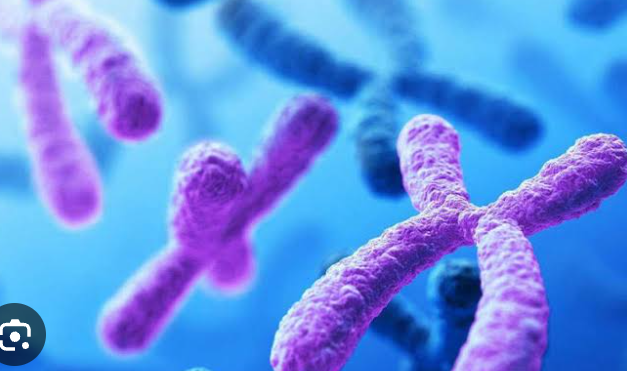 Cromosoma 21, Efectos y Consecuencias