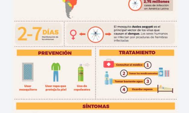 Incremento Récord del Dengue en Las Américas: OPS