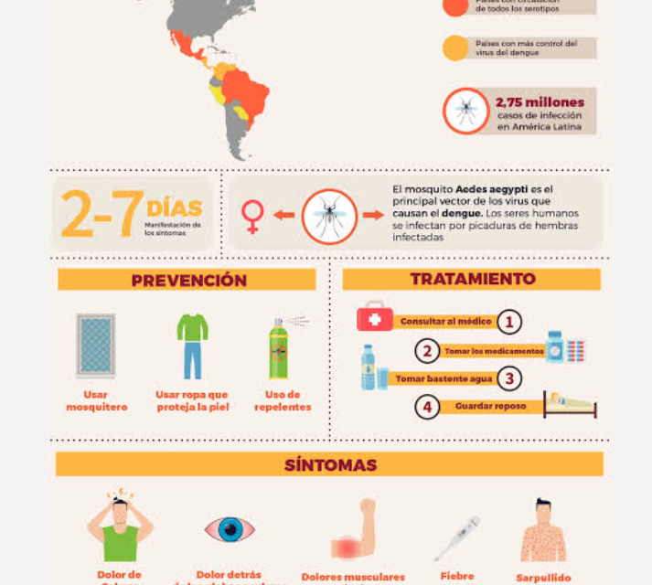 Incremento Récord del Dengue en Las Américas: OPS