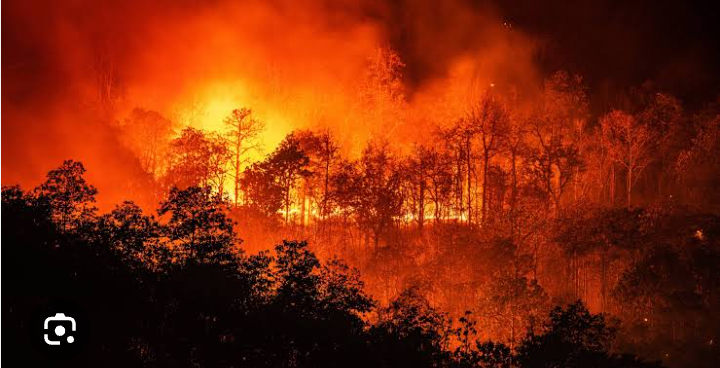 Incendios Pueden Causar Enfermedades Respiratorias o Cardiovasculares