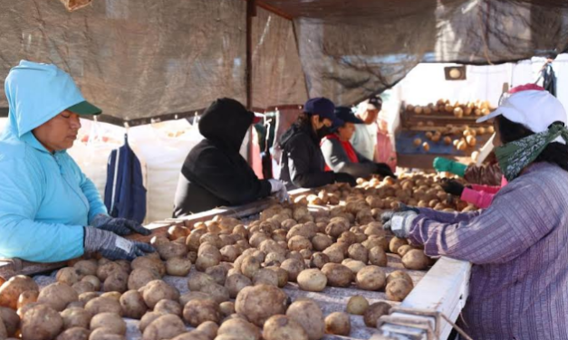 Mujeres, el motor de desarrollo del campo mexicano: UMFFAAC