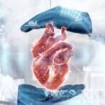 Lanzan un Chat Bot Para la Salud del Corazón