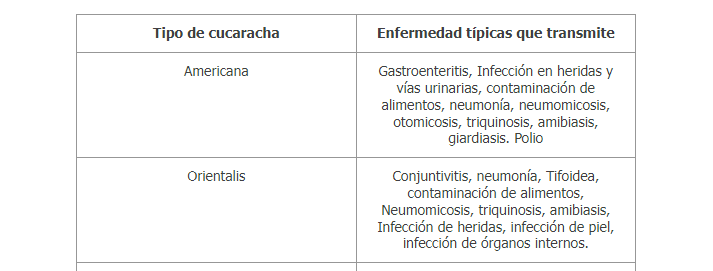 Cucarachas «amenazan» la salud pública en México: SIFSA