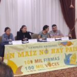 Urge escuchar la voz civil en el debate de México y Estados Unidos por maíz transgénico: activistas