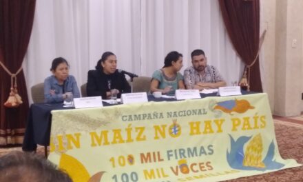 Urge escuchar la voz civil en el debate de México y Estados Unidos por maíz transgénico: activistas