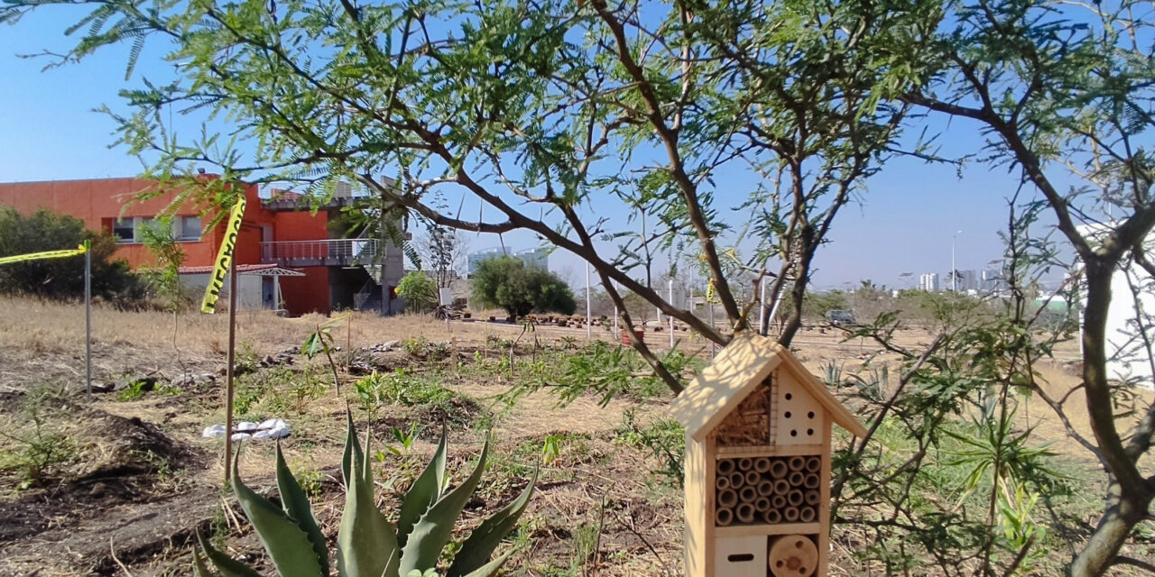 Impulsa Agricultura conservación de polinizadores en México