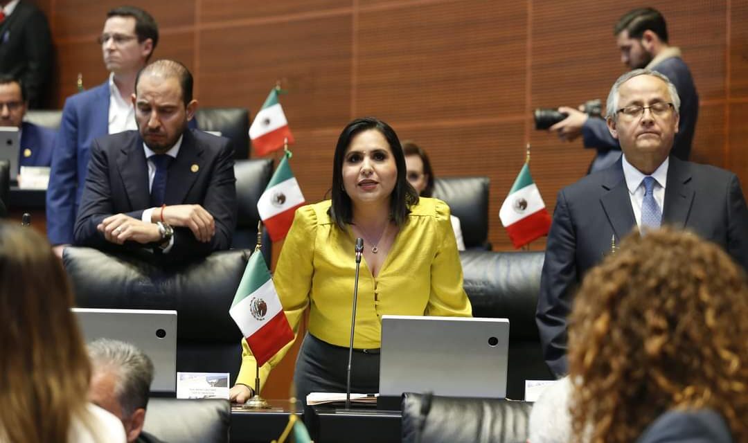 Diputados locales avalan reforma judicial sin leerla: PAN