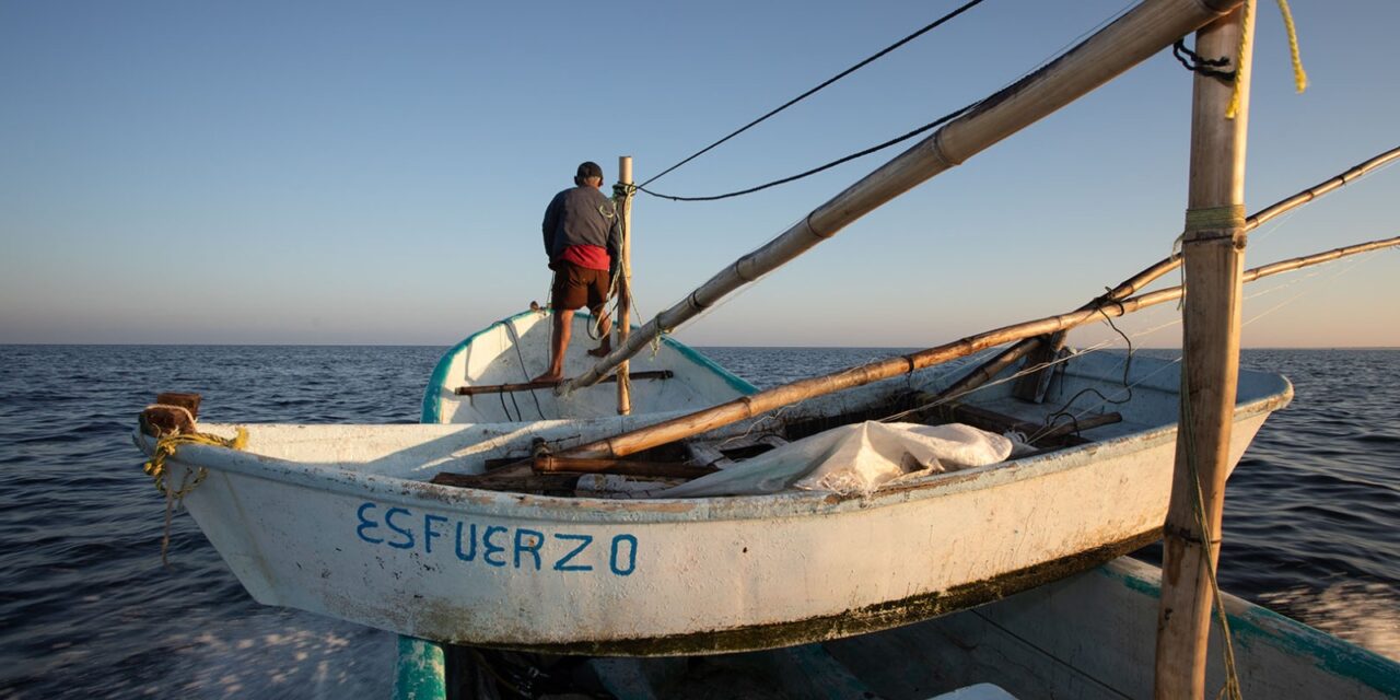 Aplaude Oceana la designación de Alejandro Flores al frente de Conapesca