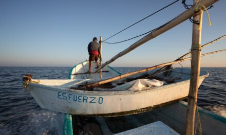 Aplaude Oceana la designación de Alejandro Flores al frente de Conapesca