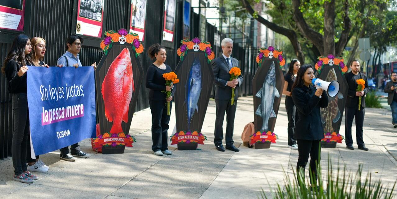 Protesta Oceana frente al Senado; exige ayuda al sector pesquero de México