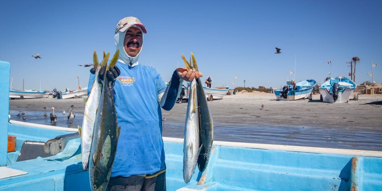 Abandonado el sector pesquero por legisladores mexicanos: Oceana