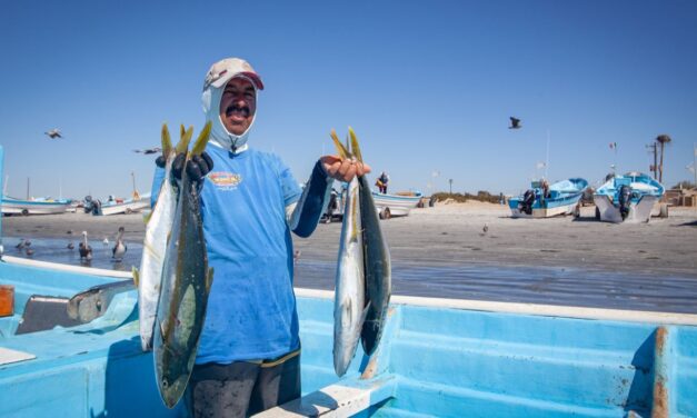 Abandonado el sector pesquero por legisladores mexicanos: Oceana