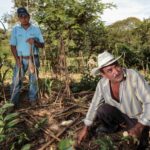 Con degradación cerca del 72% de los suelos mexicanos: Agricultura