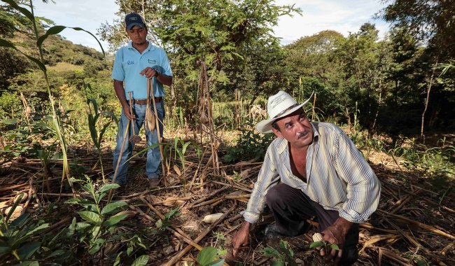 Con degradación cerca del 72% de los suelos mexicanos: Agricultura