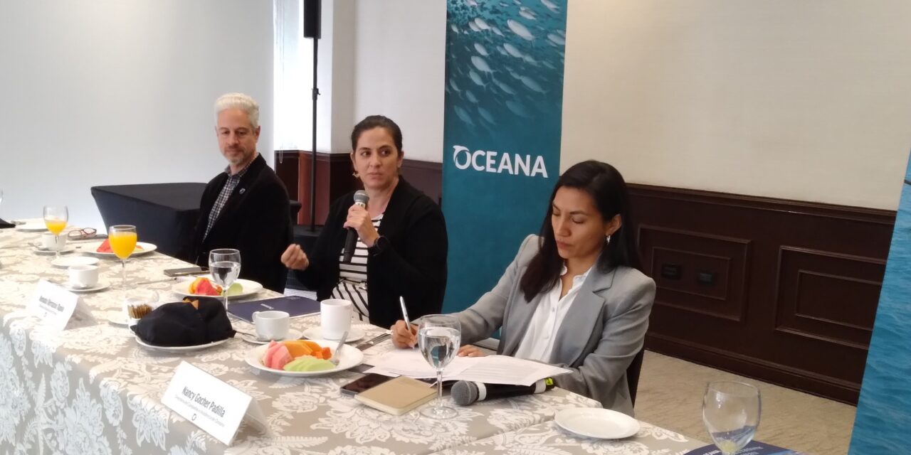 Le «importa poco» el sector pesquero al Gobierno de México: Oceana