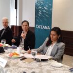 Le «importa poco» el sector pesquero al Gobierno de México: Oceana