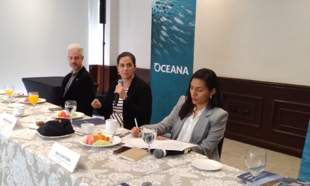 Le «importa poco» el sector pesquero al Gobierno de México: Oceana