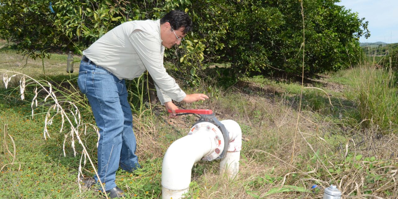 Se amplió el plazo del Programa Especial de Energía para el Campo: Agricultura